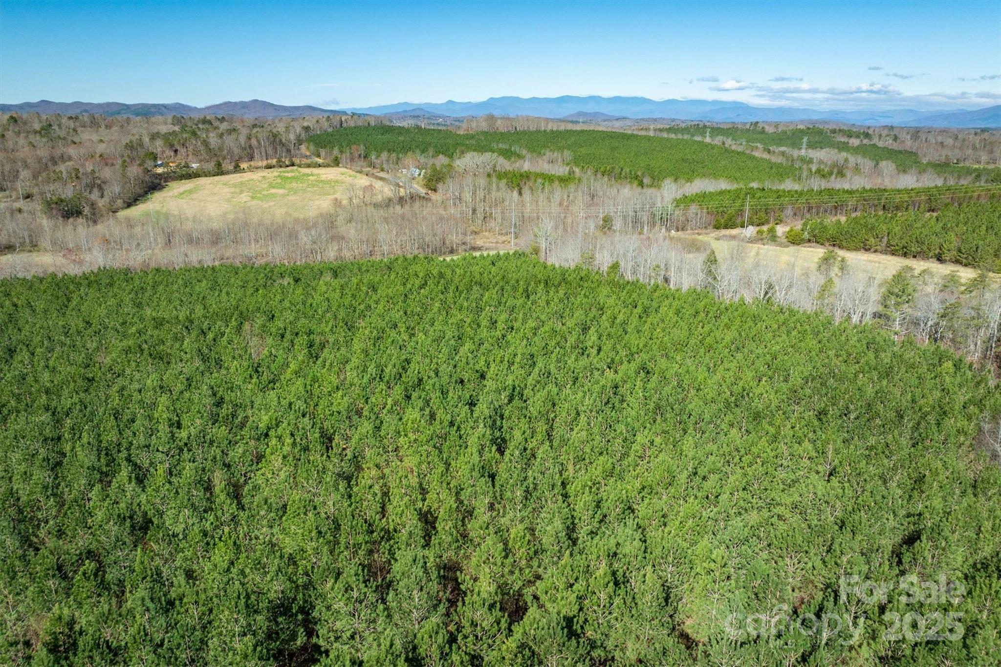 4970 Morrison Road Morganton, NC 28655 - Photo 8 of 18