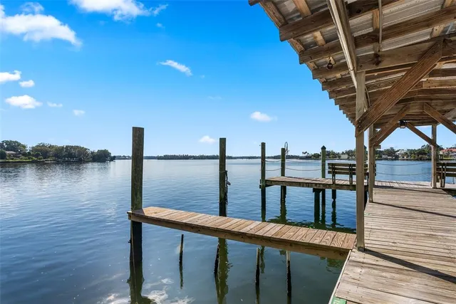 a view of a swimming pool with a patio and a garden