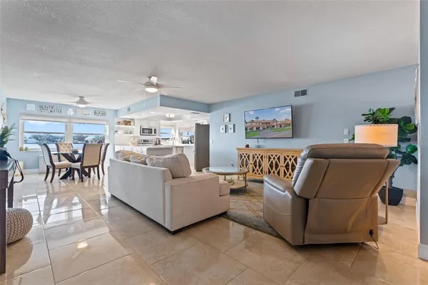 a living room with furniture a rug and a potted plant