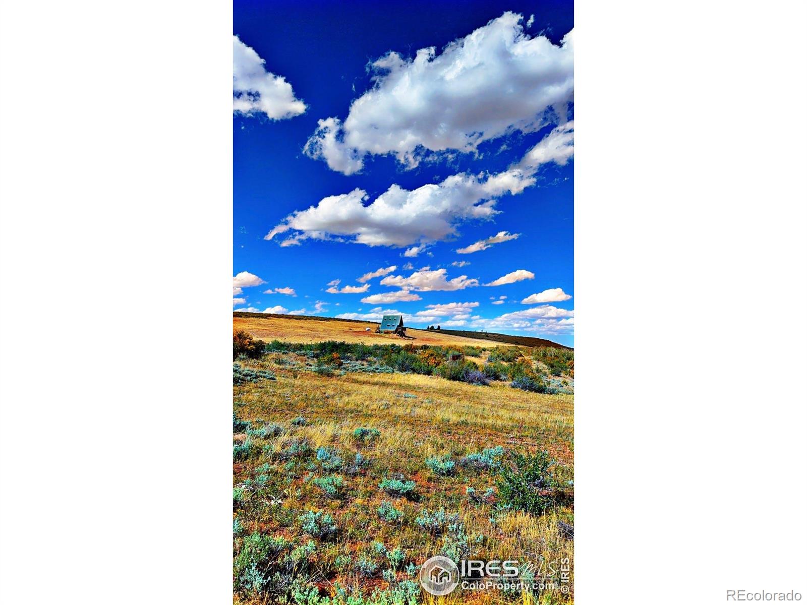 867 Windy Ridge Road Livermore, CO 80536 - Photo 2 of 23 a view of sky from window