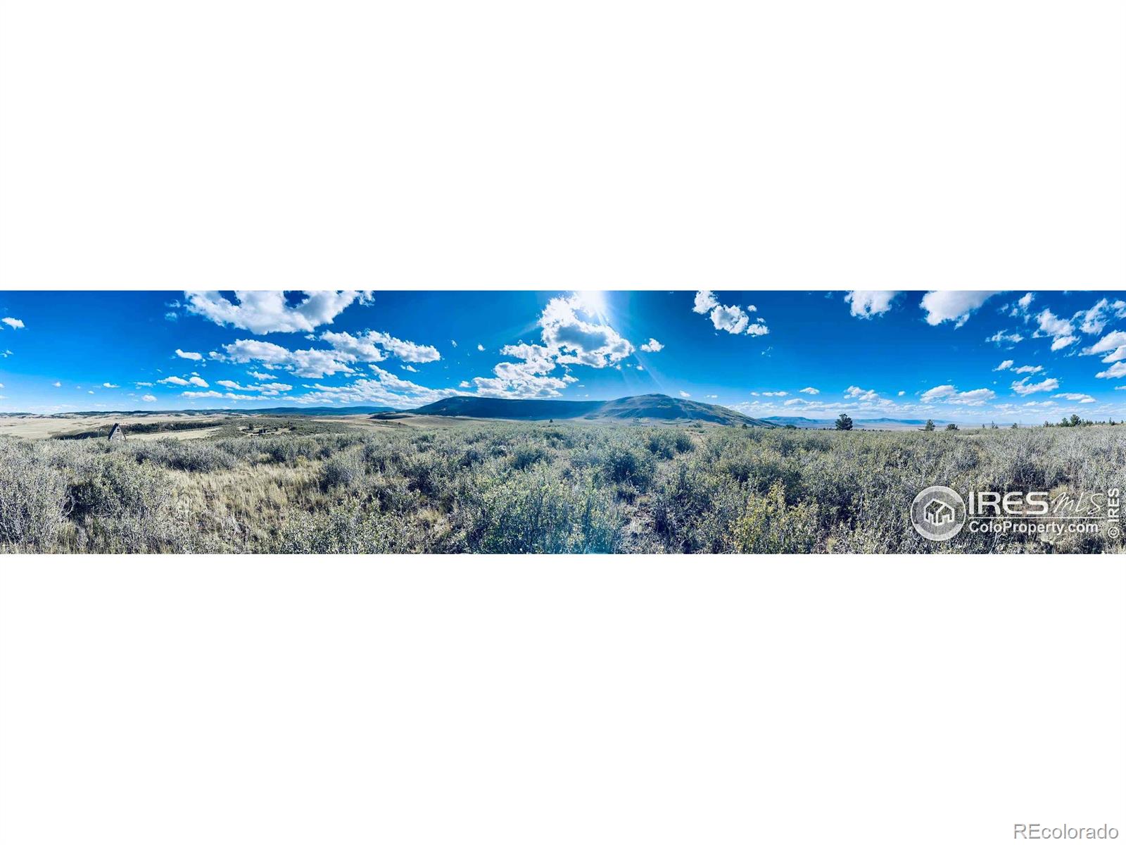 867 Windy Ridge Road Livermore, CO 80536 - Photo 4 of 23 a view of a room