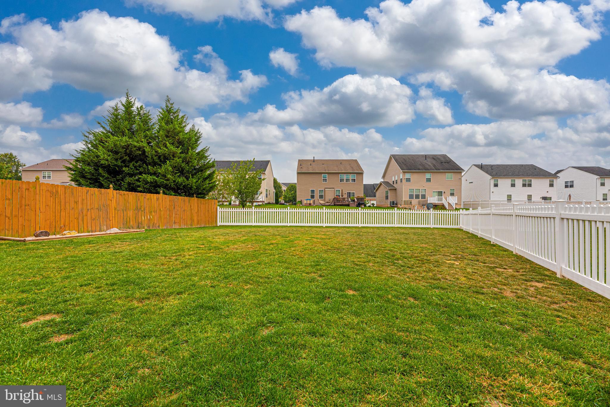 Huge fenced backyard