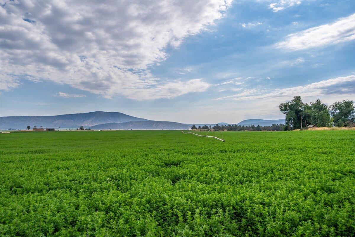 2935 Sheep Mountain Road Macdoel, CA 96058 - Photo 135 of 137 126-Macdoel Hay Ranch1 - E-100