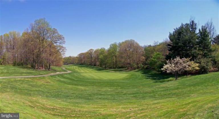 1307 Dasher Lane Reston, VA 20190 - Photo 18 of 29 a view of a grassy field with trees