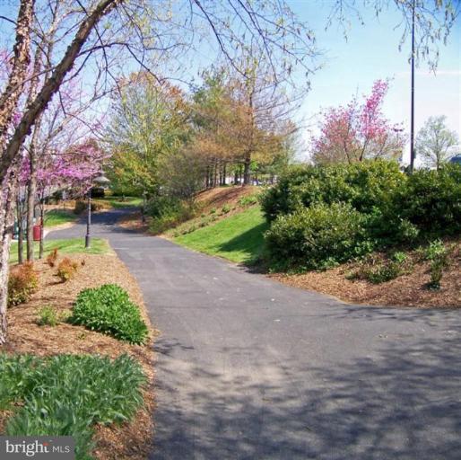 1307 Dasher Lane Reston, VA 20190 - Photo 25 of 29 a backyard of a house with lots of green space