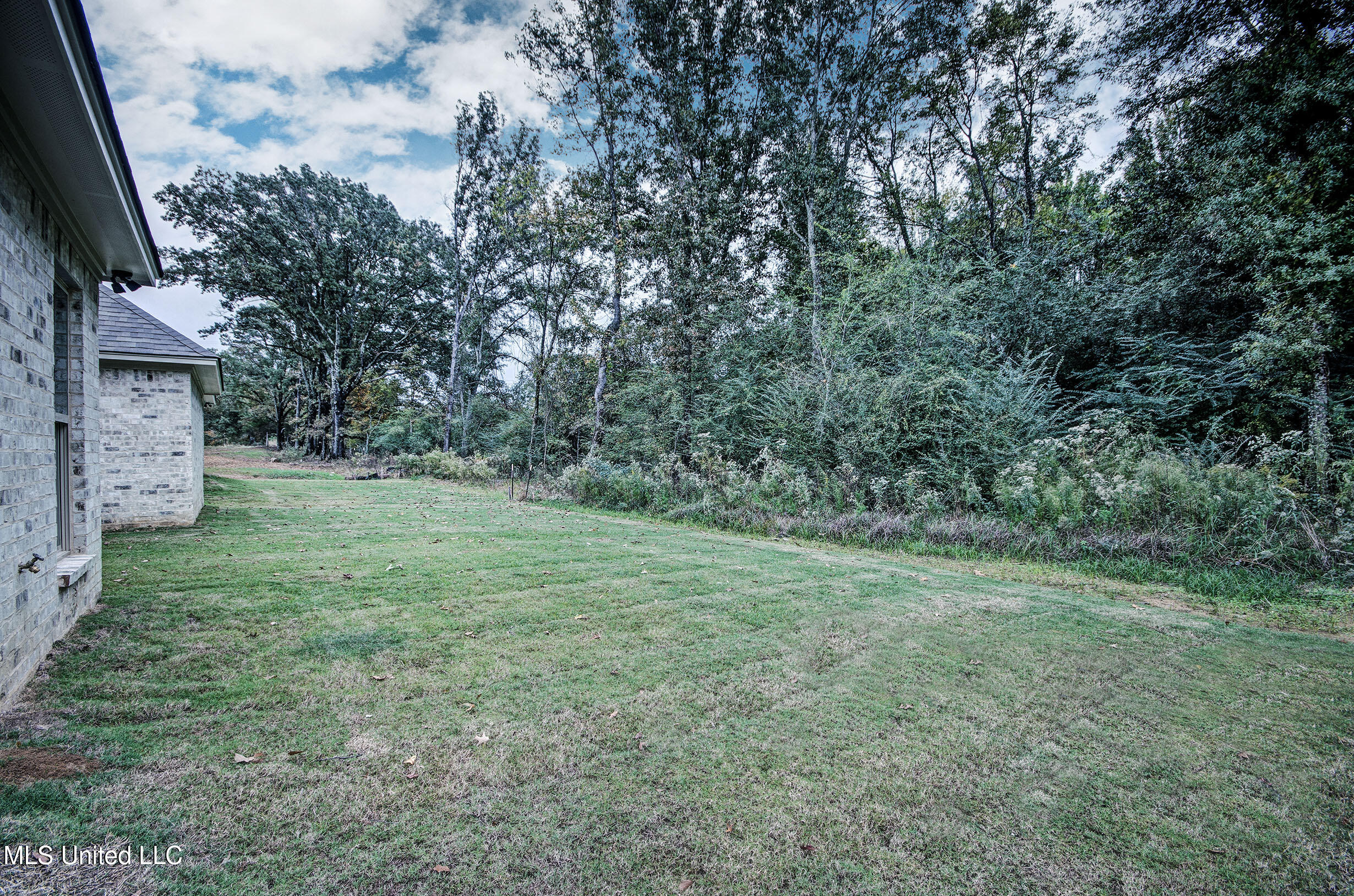 343 Willow Way Canton, MS 39046 - Photo 4 of 32 IMGP5004_5_6