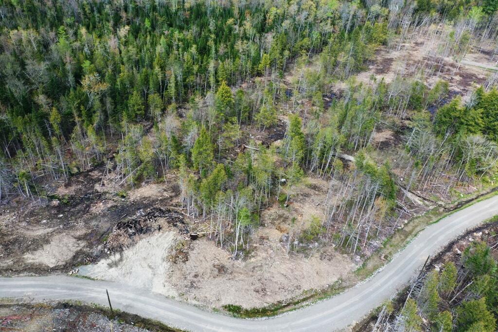 Lot 2 Hammond Brook Road Monson, ME 04464 - Photo 1 of 7 Aerial Markup