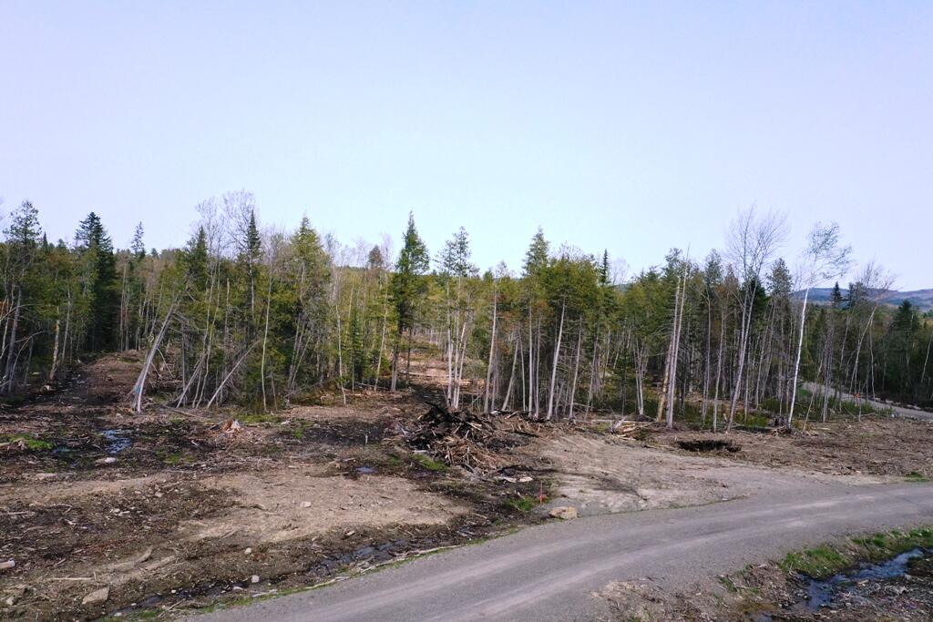 Lot 2 Hammond Brook Road Monson, ME 04464 - Photo 2 of 7 DJI_0178