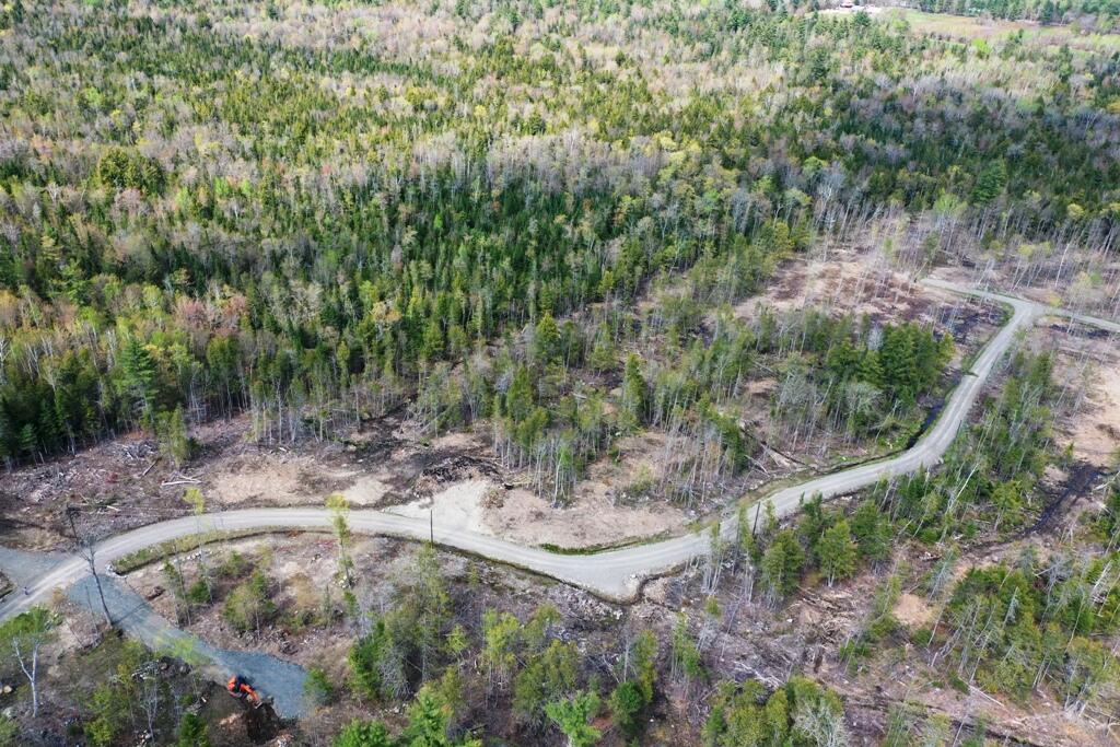 Lot 2 Hammond Brook Road Monson, ME 04464 - Photo 4 of 7 DJI_0173