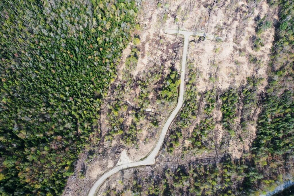 Lot 2 Hammond Brook Road Monson, ME 04464 - Photo 6 of 7 DJI_0175