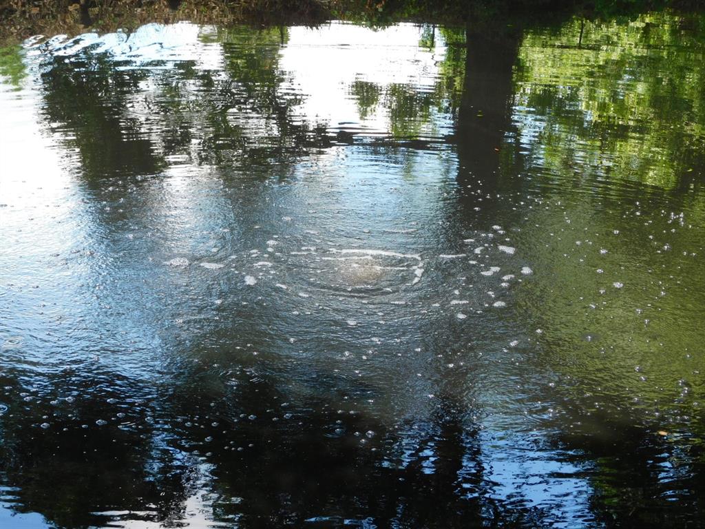 24044 Highway 157 Springhill, LA 71075 - Photo 9 of 40 a view of water with a building in the background