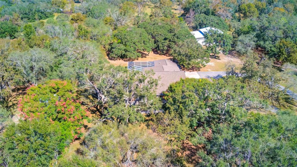 9465 May Gold Lane Spring Hill, FL 34608 - Photo 59 of 70 Gallery Image 59