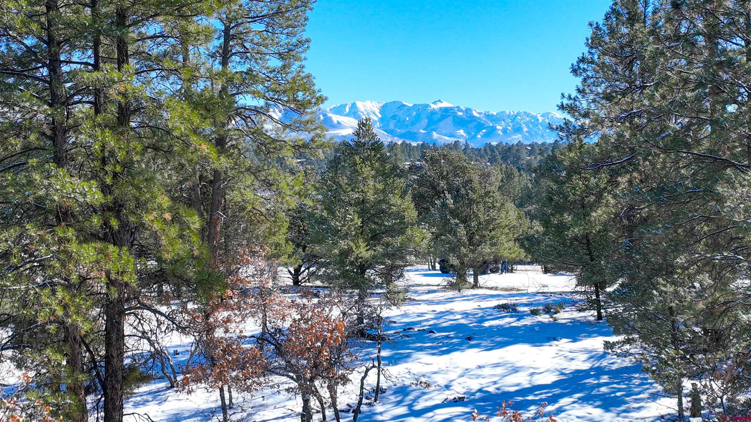 681 Marmot Drive Ridgway, CO 81432 - Photo 12 of 28 a view of a tree with a yard