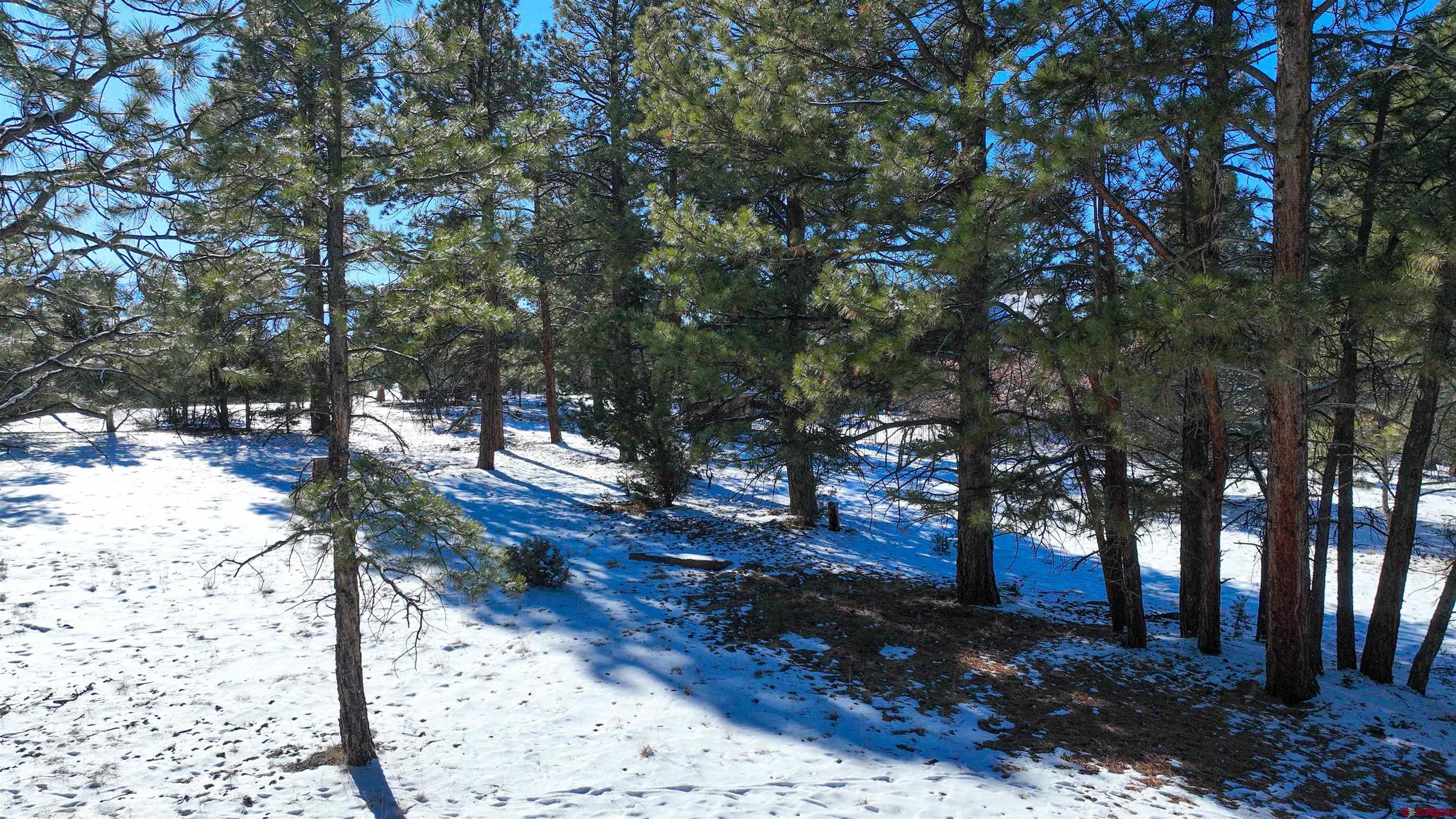 681 Marmot Drive Ridgway, CO 81432 - Photo 13 of 28 a view of outdoor space yard