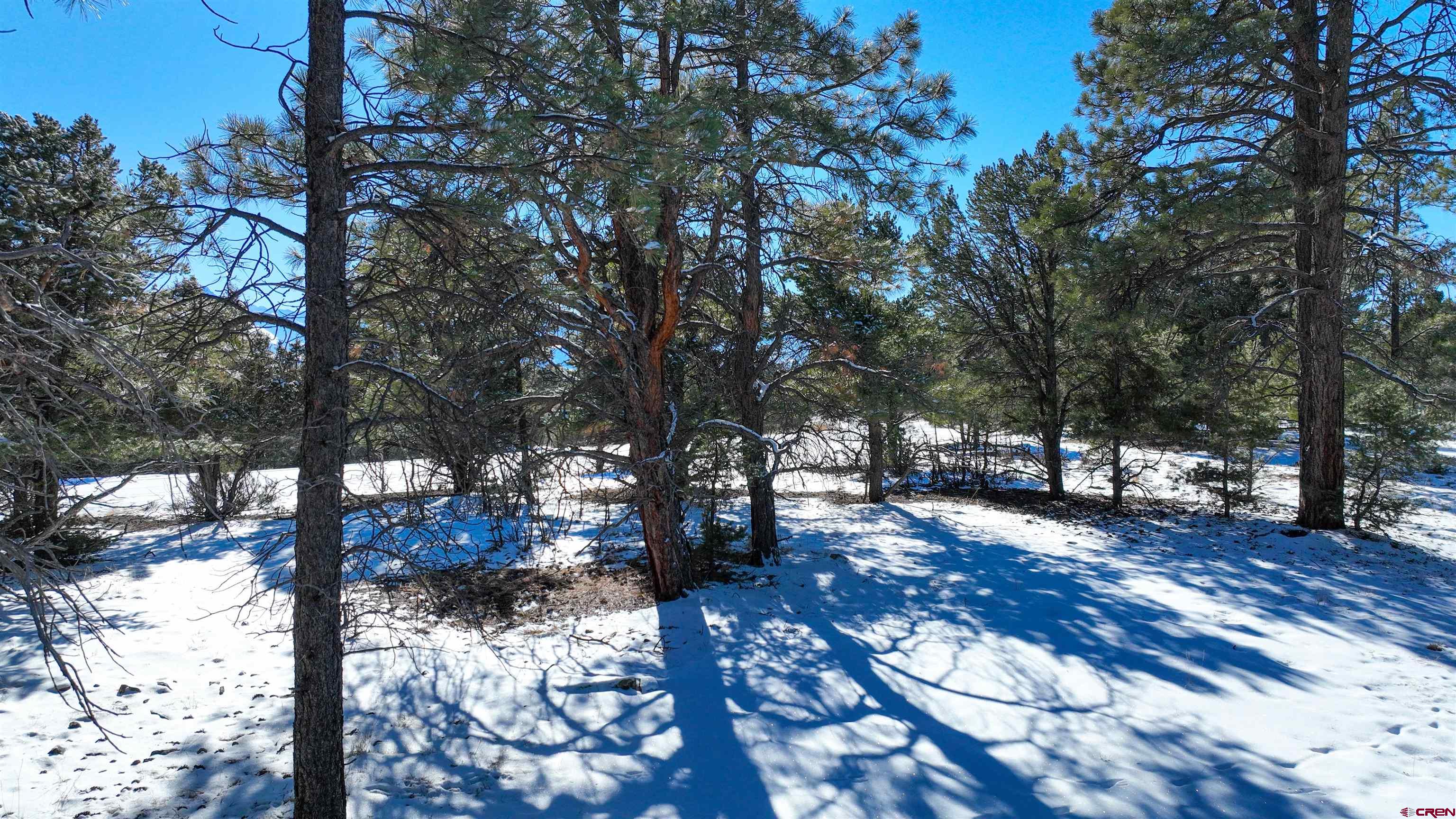 681 Marmot Drive Ridgway, CO 81432 - Photo 15 of 28 a view of a backyard of the house