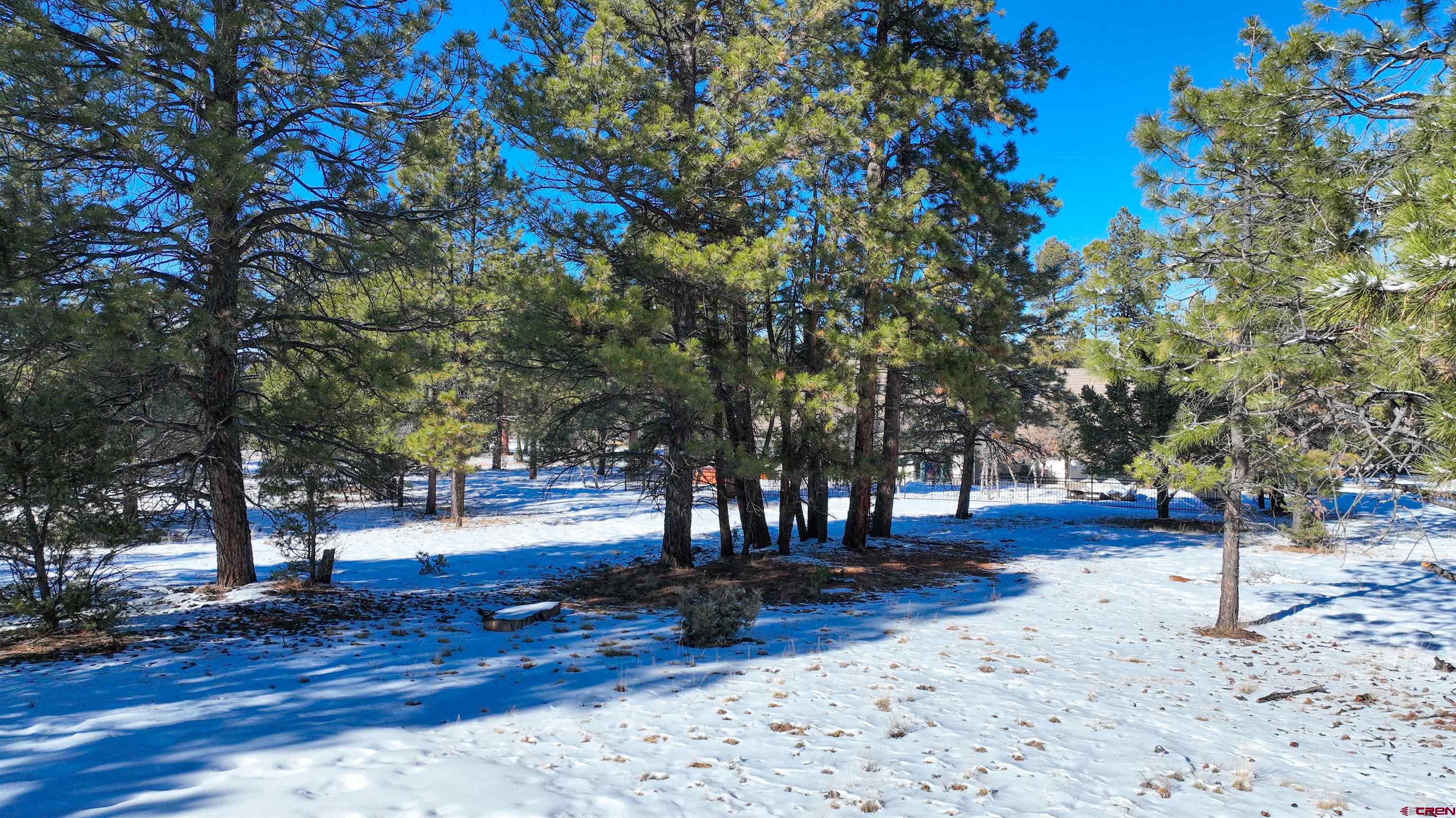 681 Marmot Drive Ridgway, CO 81432 - Photo 16 of 28 a view of yard with tree s