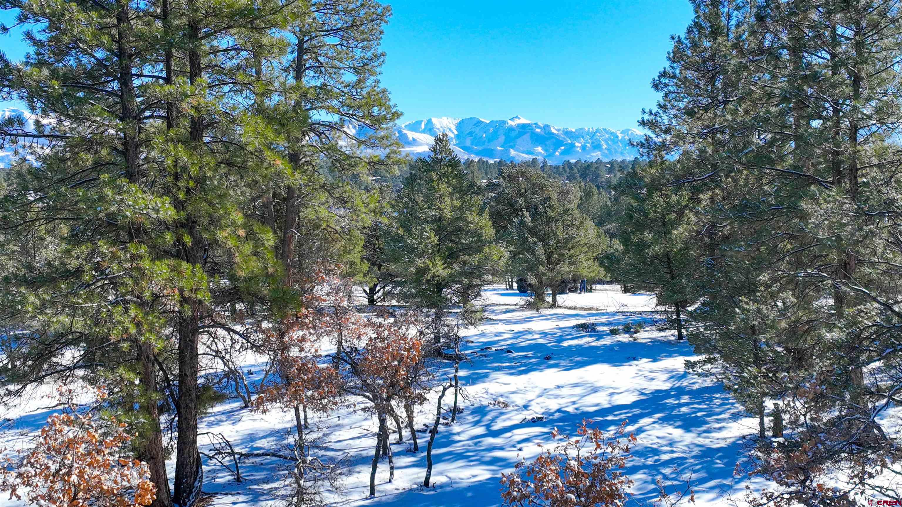 681 Marmot Drive Ridgway, CO 81432 - Photo 17 of 28 a view of yard
