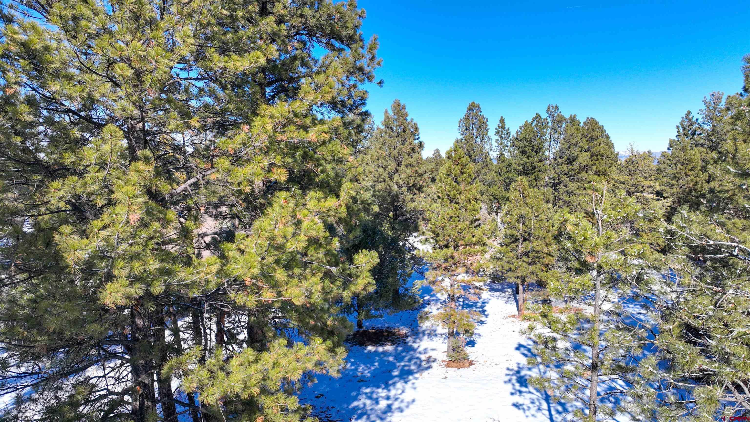 681 Marmot Drive Ridgway, CO 81432 - Photo 18 of 28