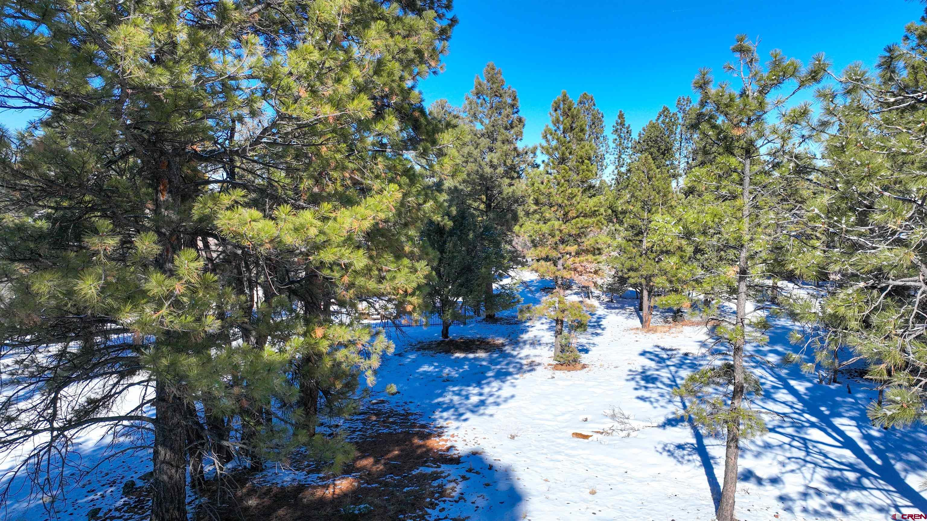 681 Marmot Drive Ridgway, CO 81432 - Photo 19 of 28 a view of outdoor space with trees all around