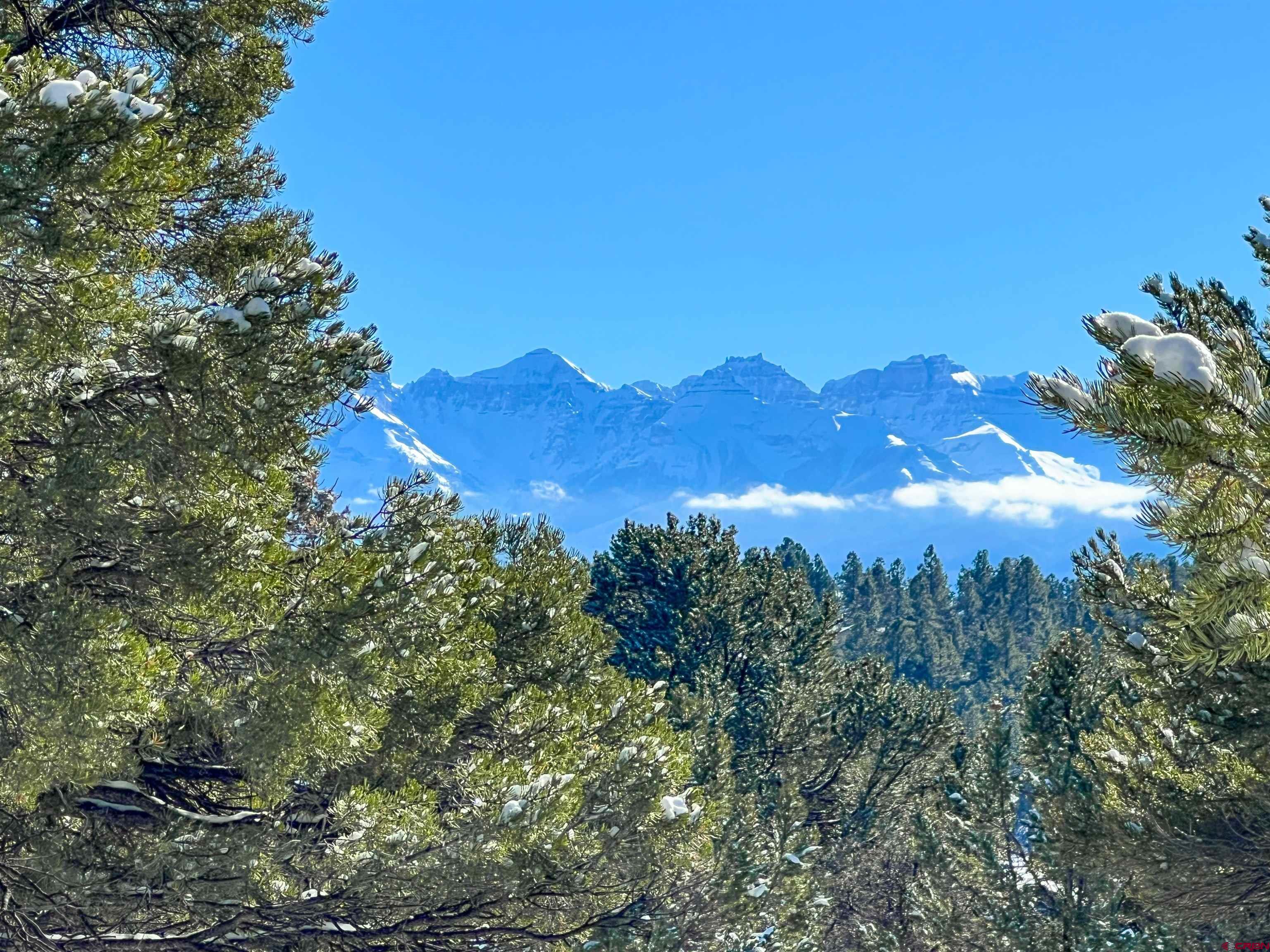 681 Marmot Drive Ridgway, CO 81432 - Photo 2 of 28 a view of a tree in a field with a tree in the background