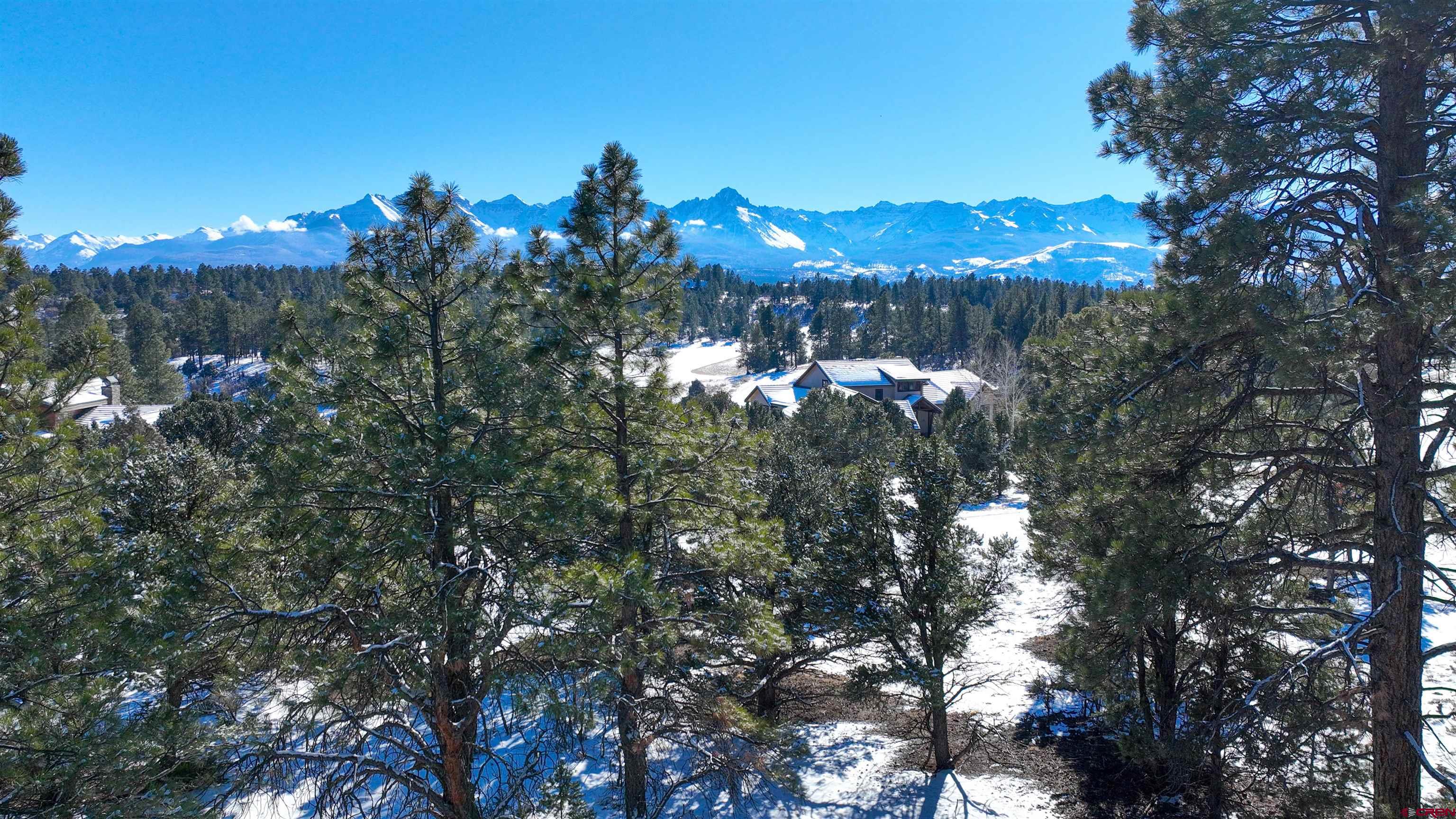 681 Marmot Drive Ridgway, CO 81432 - Photo 23 of 28 a view of a tree in a sunset