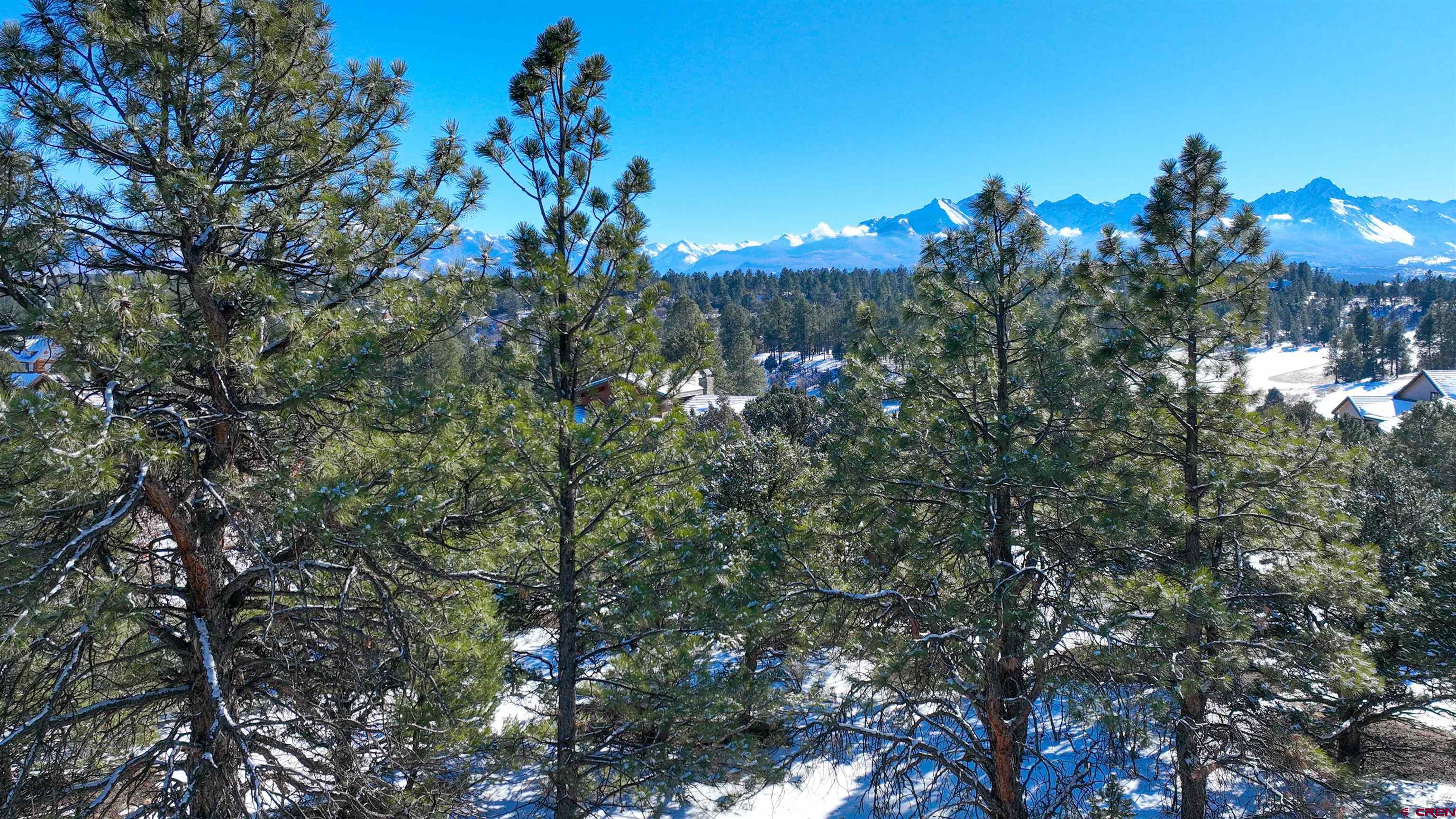 681 Marmot Drive Ridgway, CO 81432 - Photo 24 of 28