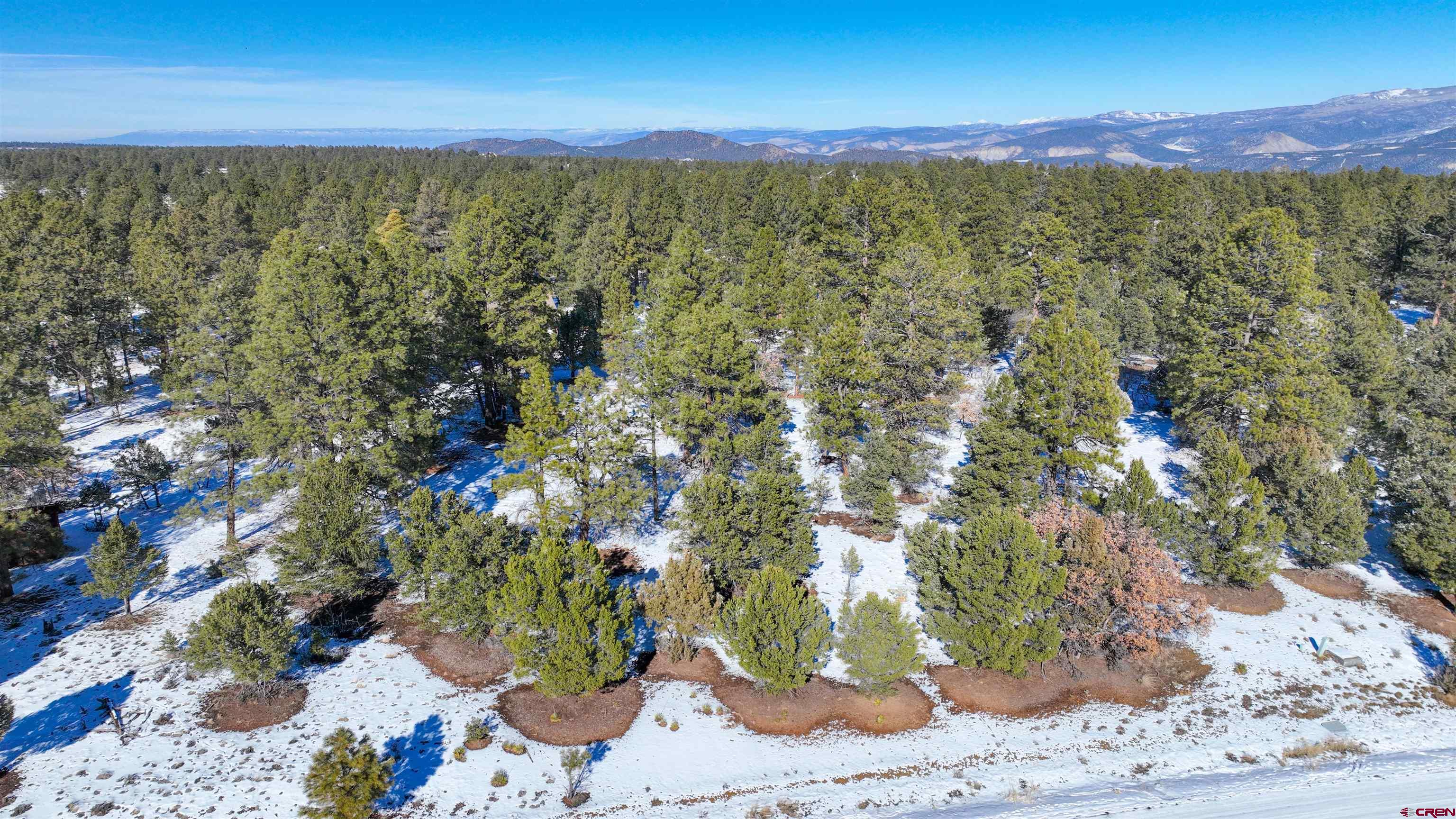 681 Marmot Drive Ridgway, CO 81432 - Photo 27 of 28 a view of a street with an outdoor space