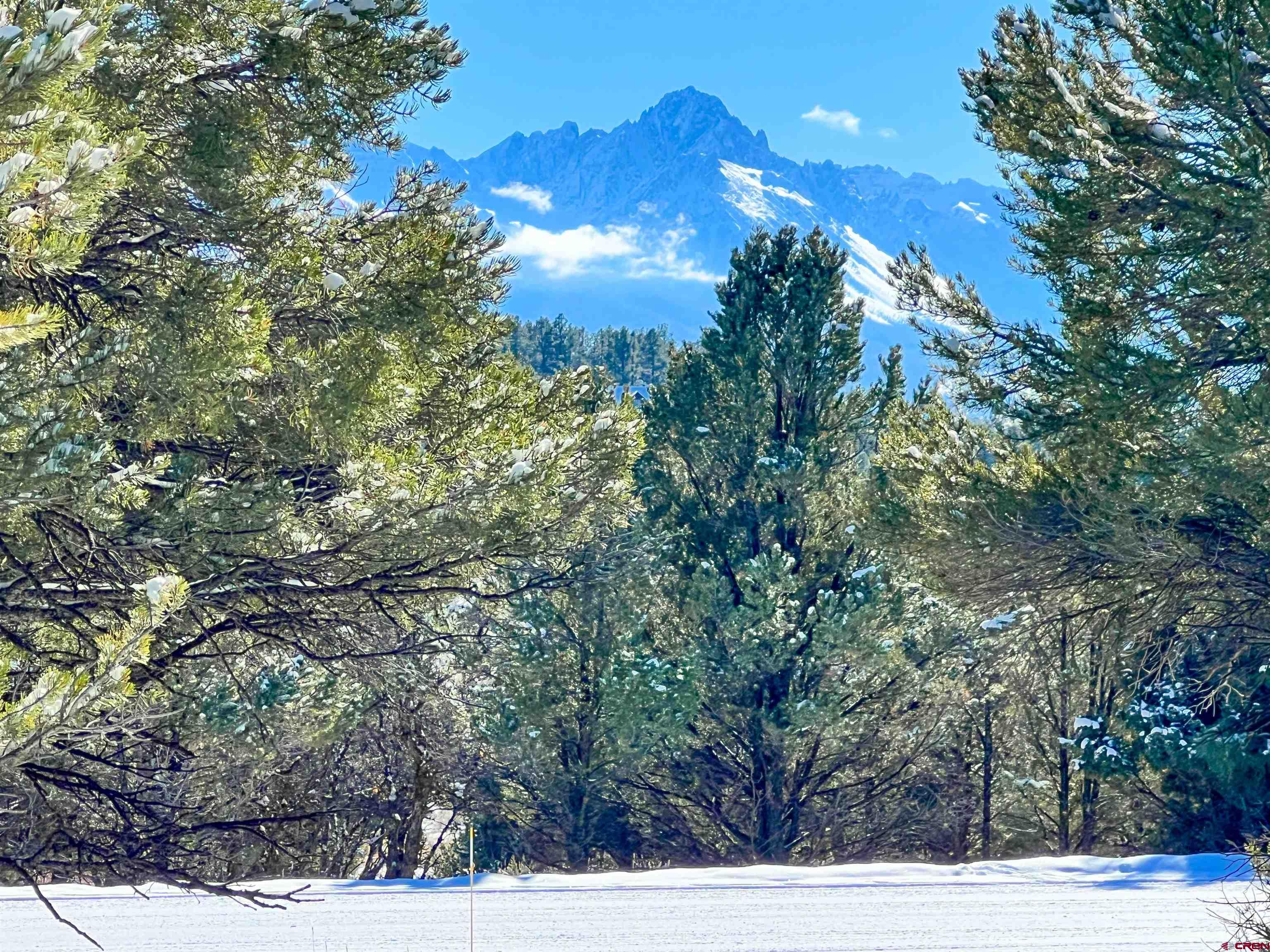 681 Marmot Drive Ridgway, CO 81432 - Photo 3 of 28 a view of a yard with large trees