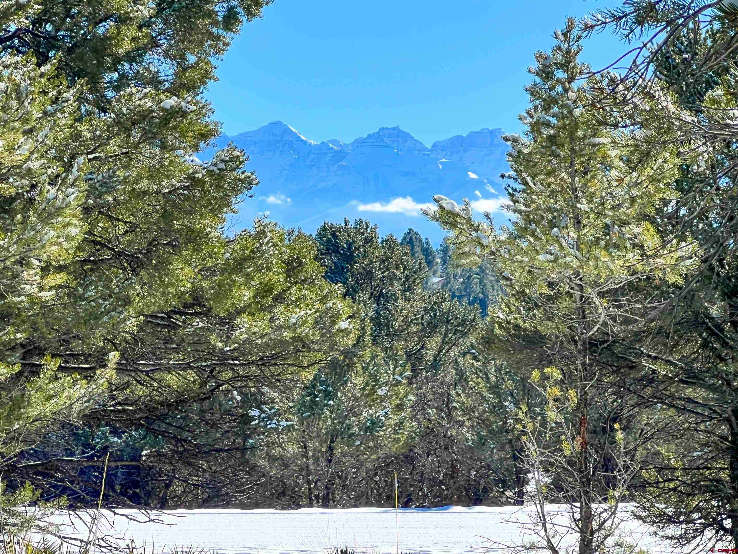 681 Marmot Drive Ridgway, CO 81432 - Photo 5 of 28 a view of a yard with a tree