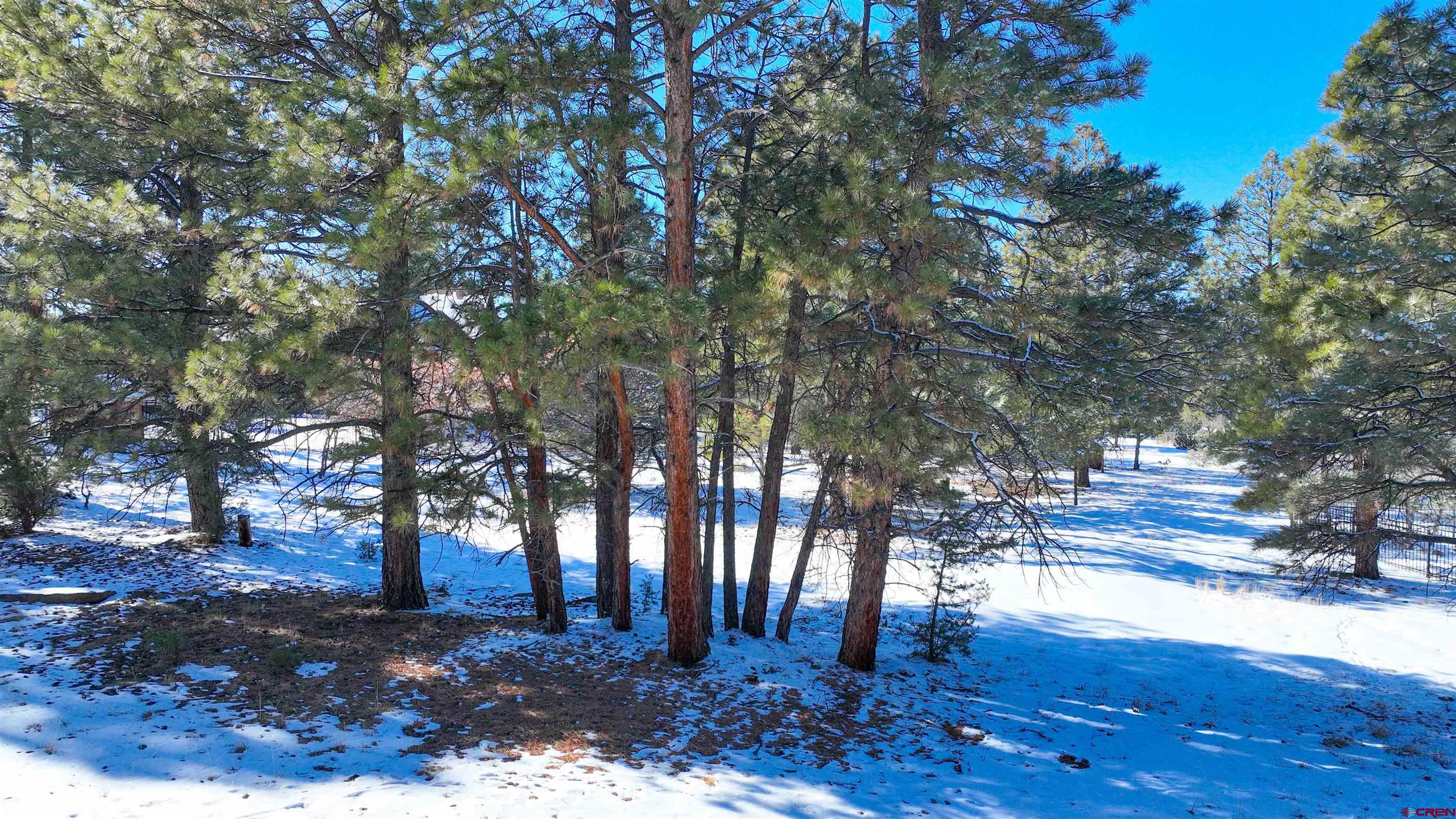681 Marmot Drive Ridgway, CO 81432 - Photo 8 of 28 a view of backyard with green space