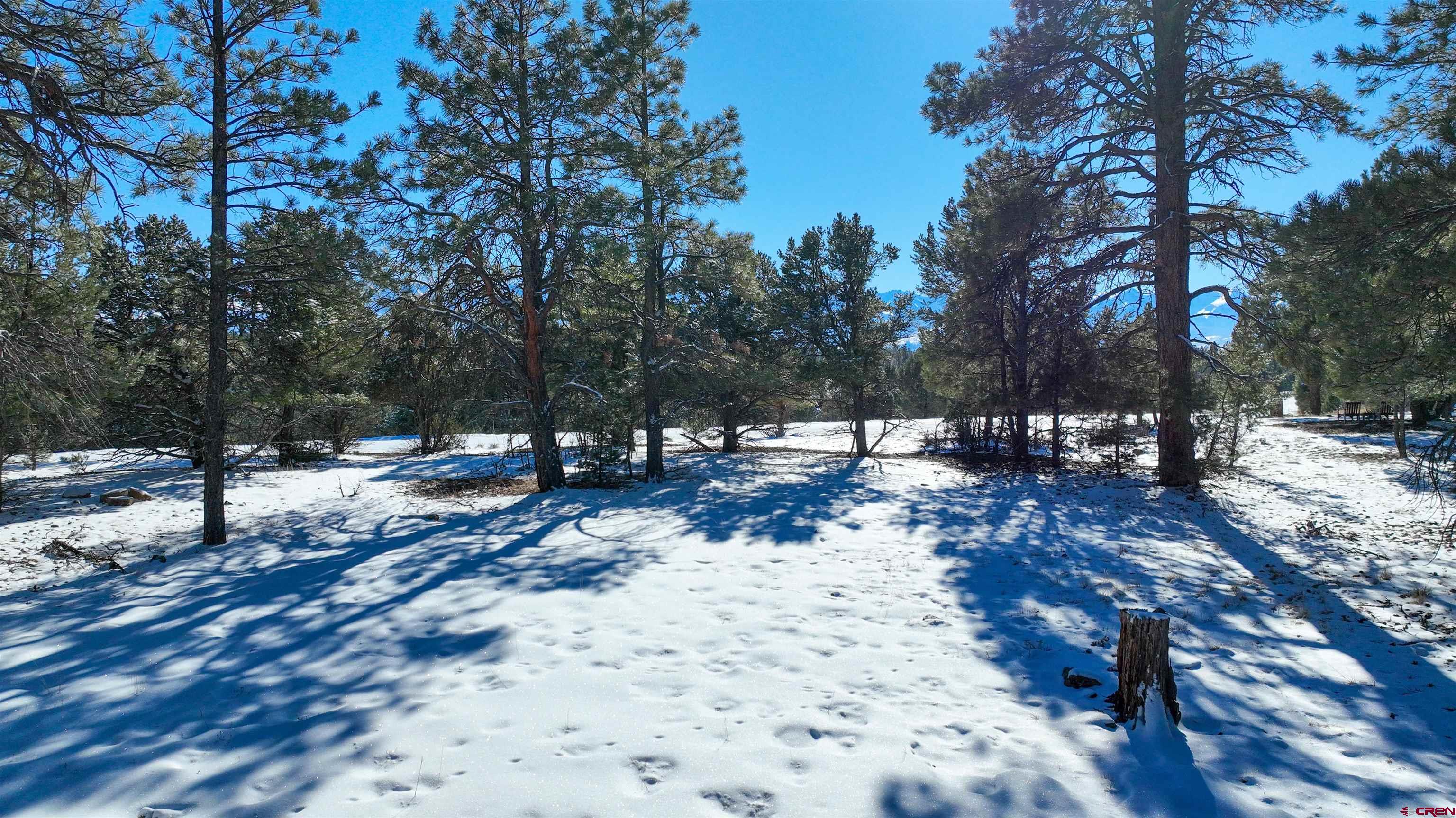 681 Marmot Drive Ridgway, CO 81432 - Photo 9 of 28 a view of road with trees