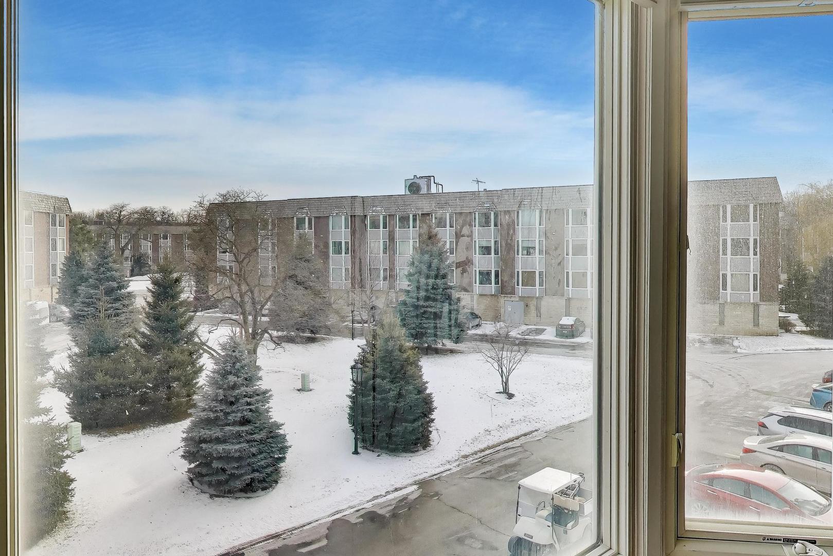 201 Thames Parkway, Unit 2K Park Ridge, IL 60068 - Photo 19 of 28