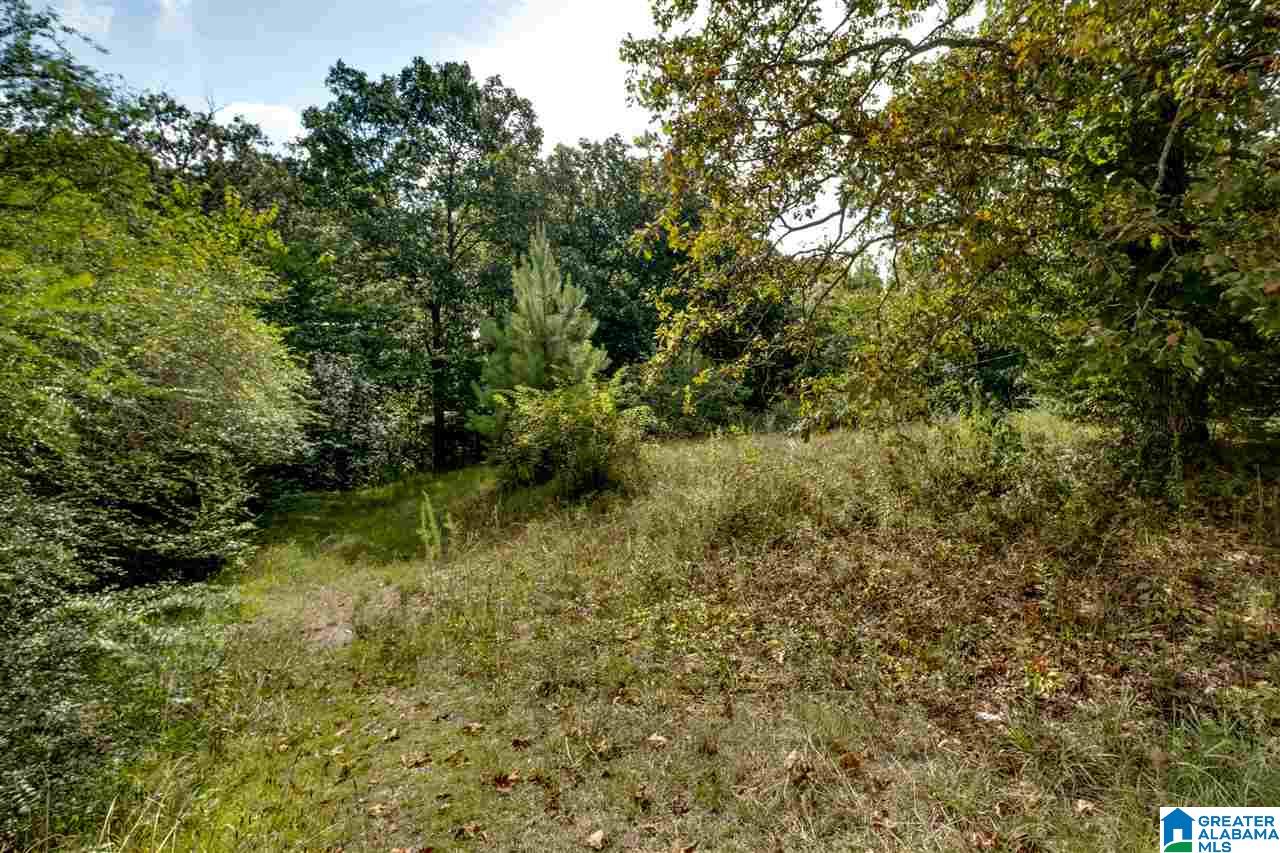 140 Jefferson Lane Alabaster, AL 35007 - Photo 12 of 15