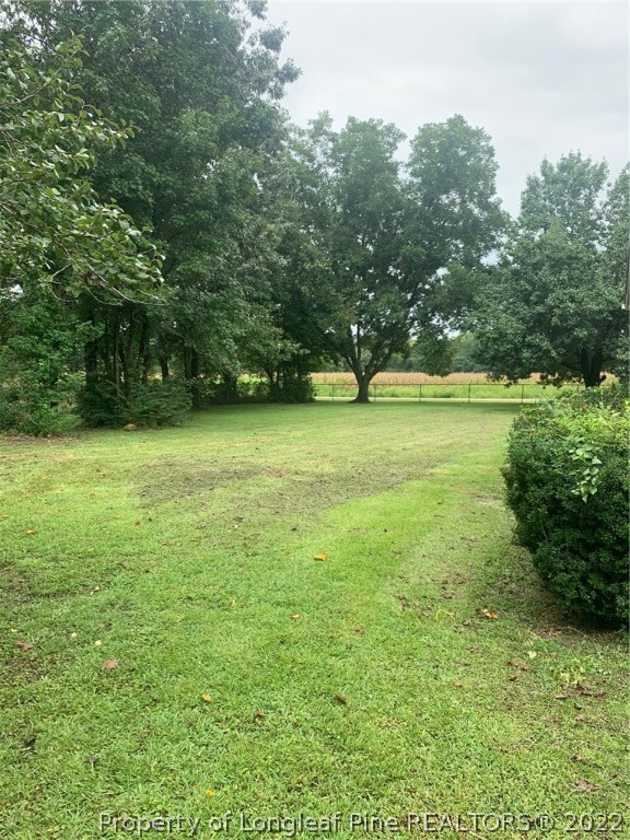 68 Flowers Settlemeyer Road Riegelwood, NC 28456 - Photo 23 of 28 a view of a green yard