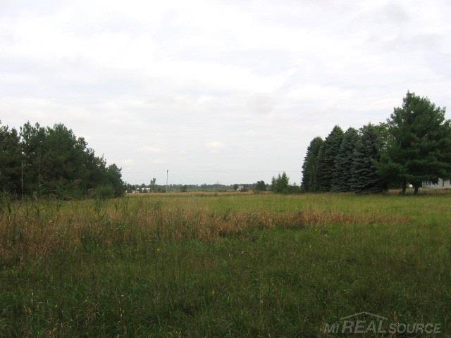 5548 Applegate Road Applegate, MI 48401 - Photo 25 of 26