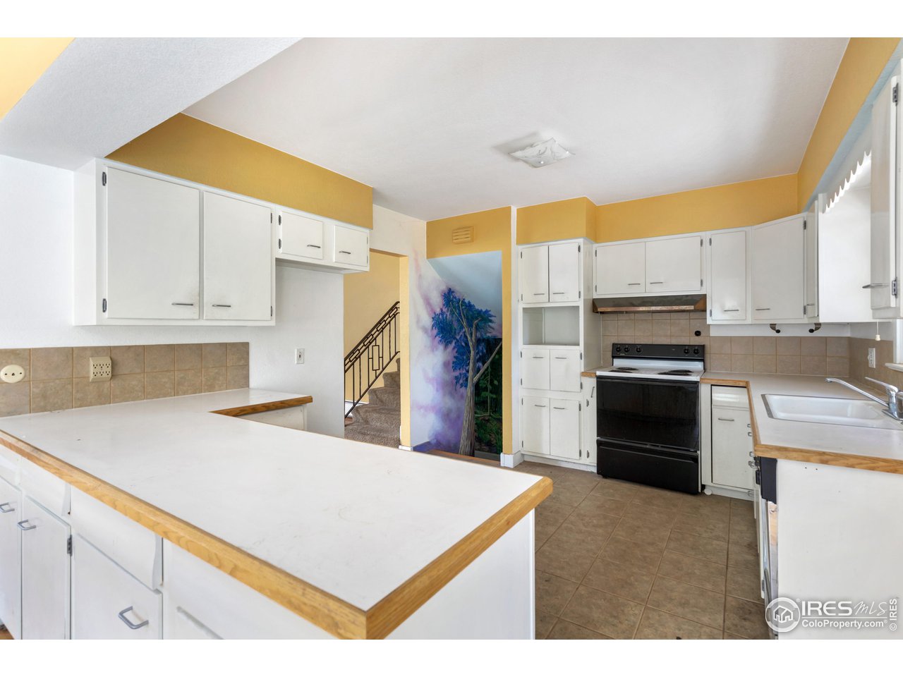 232 Fishback Avenue Fort Collins, CO 80521 - Photo 8 of 22 Lots of counter space