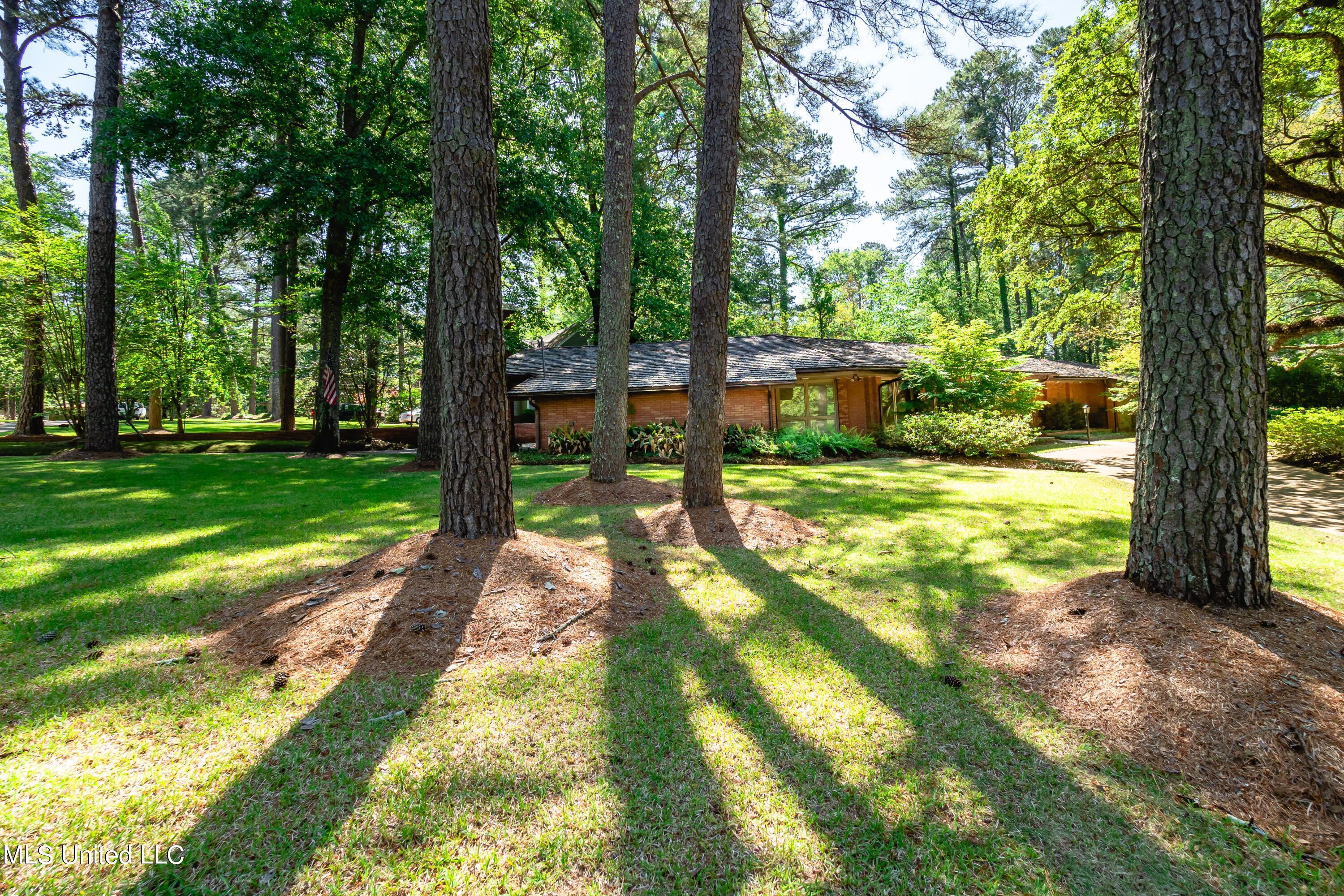 4218 East Ridge Drive Jackson, MS 39211 - Photo 3 of 39 P4190006