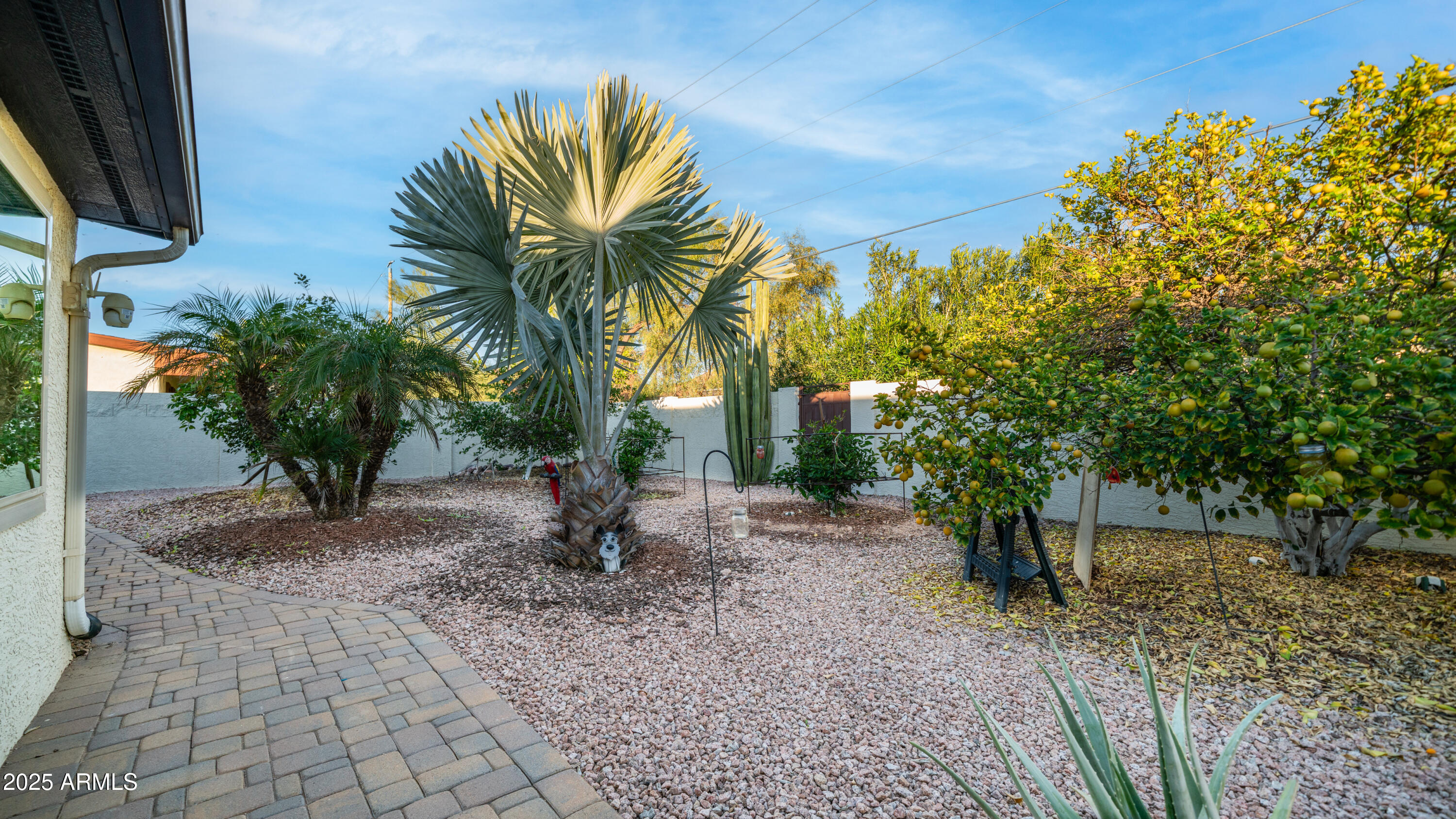 657 South Copper Drive Apache Junction, AZ 85120 - Photo 41 of 44 a view of a backyard with a garden