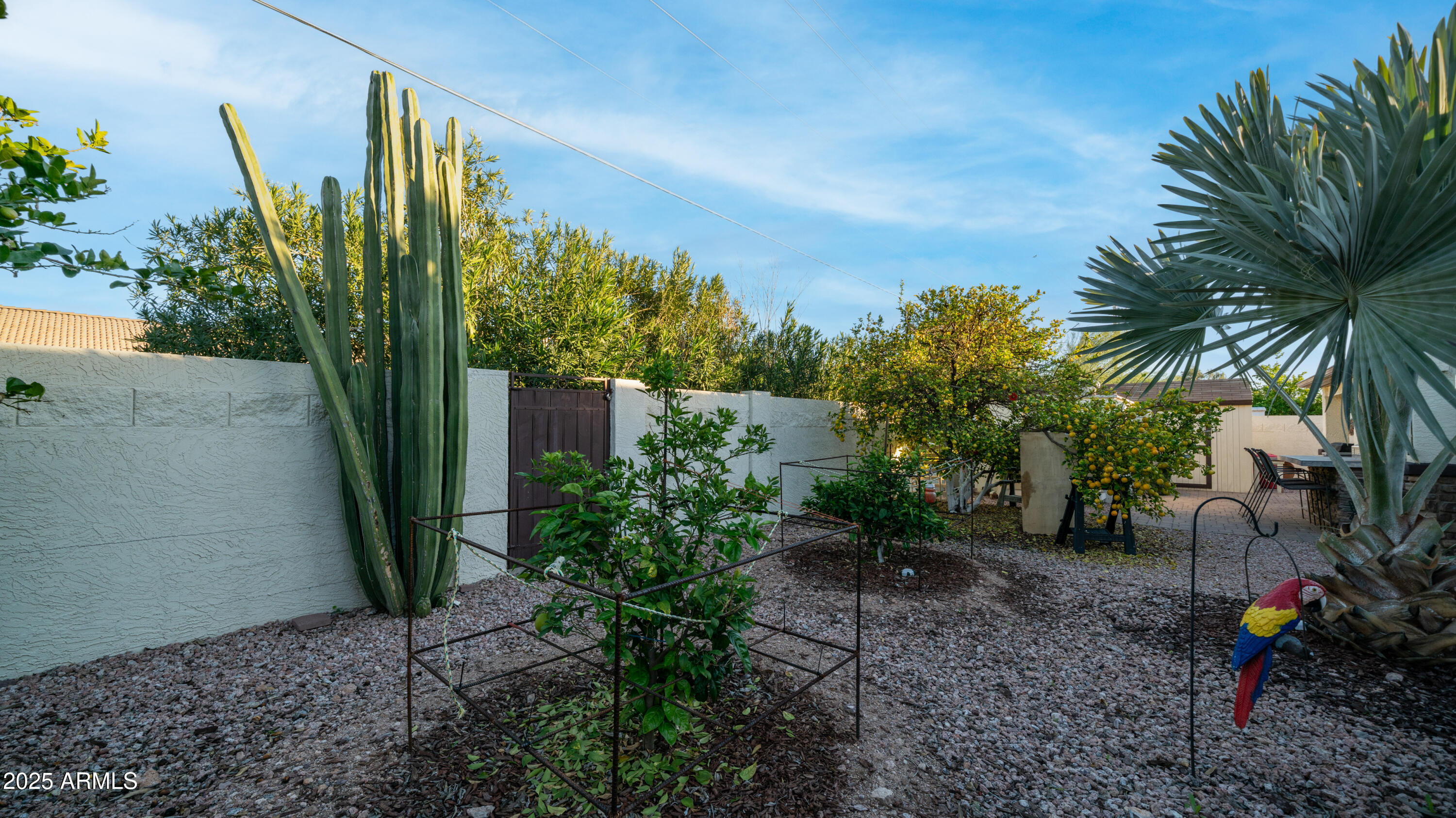 657 South Copper Drive Apache Junction, AZ 85120 - Photo 43 of 44 a view of a backyard with plants
