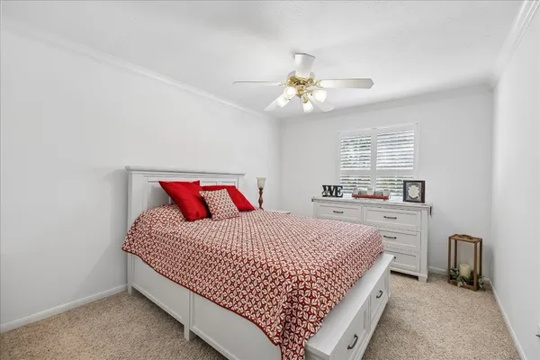 a bedroom with a large bed and a window