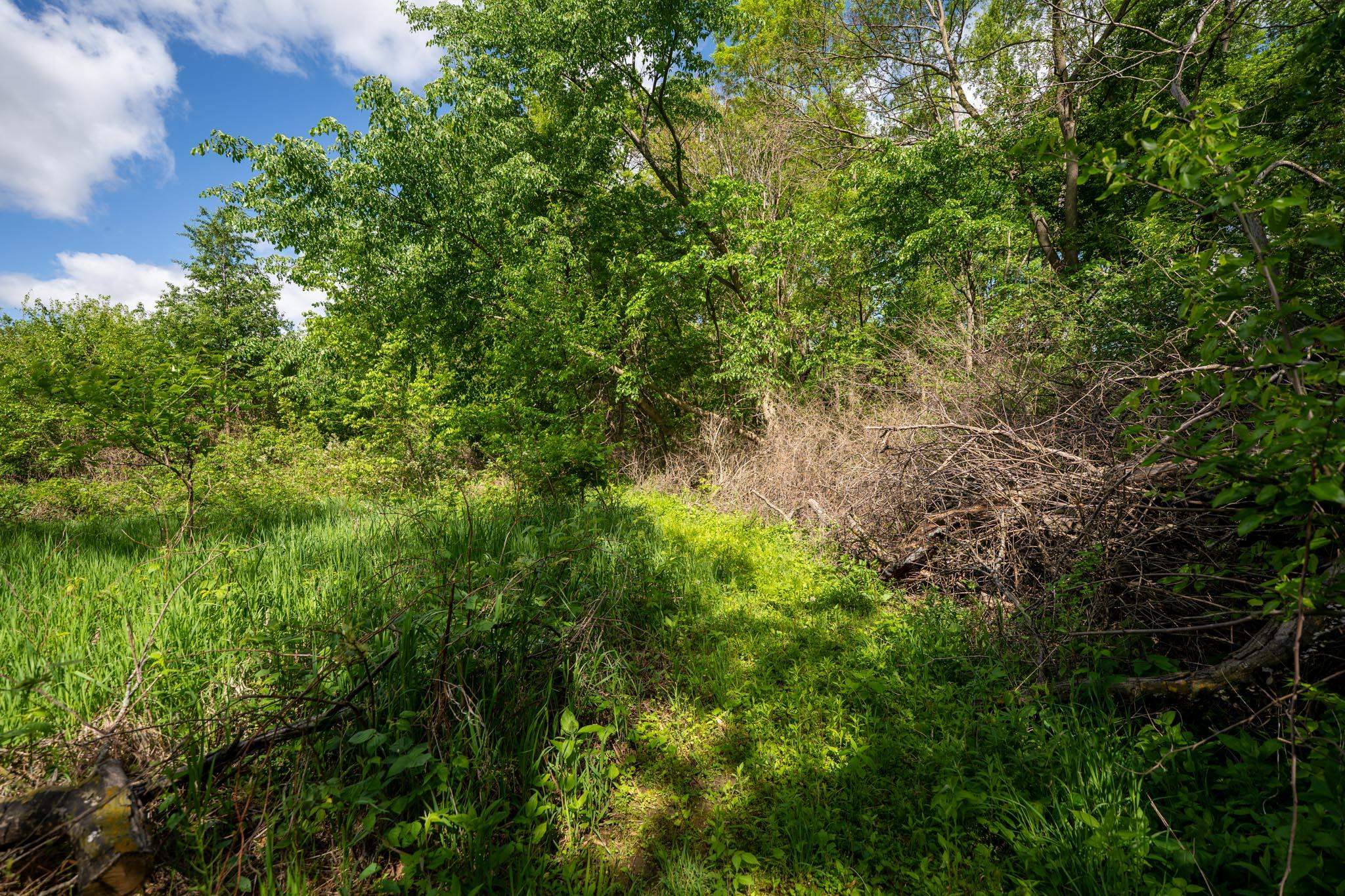 0 Jay Street Freeport, IL 61032 - Photo 12 of 31