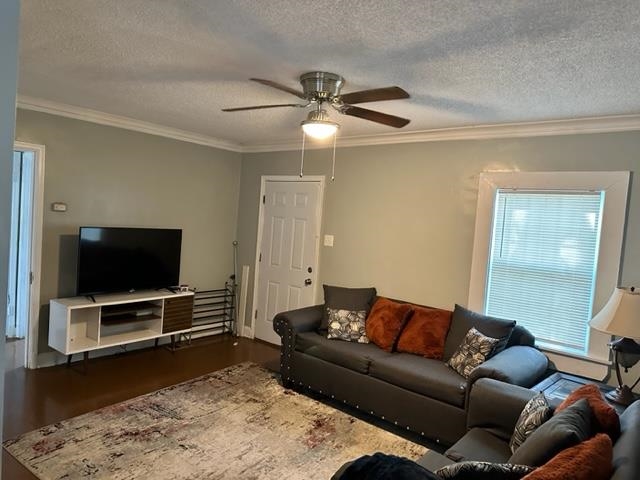 1010 Mt Vernon Road Memphis, TN 38111 - Photo 4 of 11 a living room with furniture and a flat screen tv