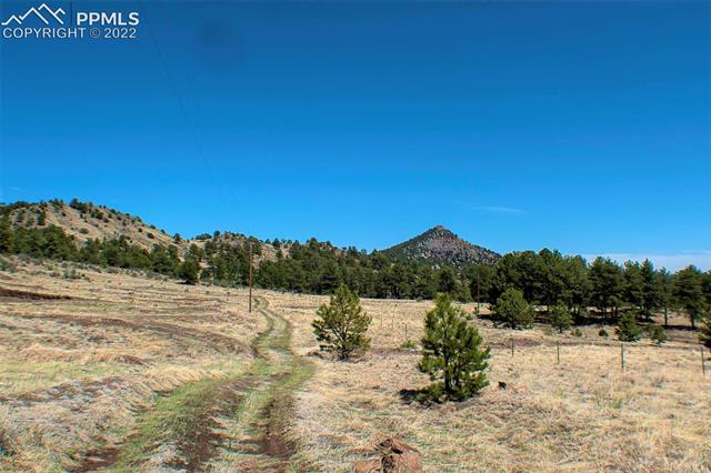 441 Wagonwheel Road Guffey, CO 80820 - Photo 34 of 36 Gallery Image 34