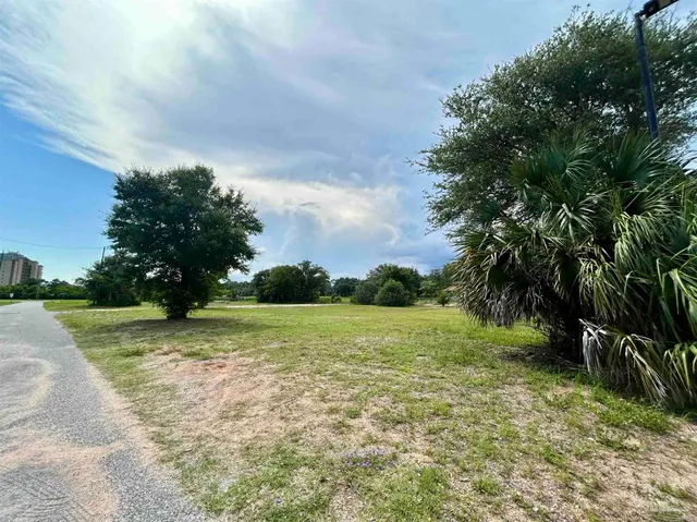 a view of a field with trees in the background