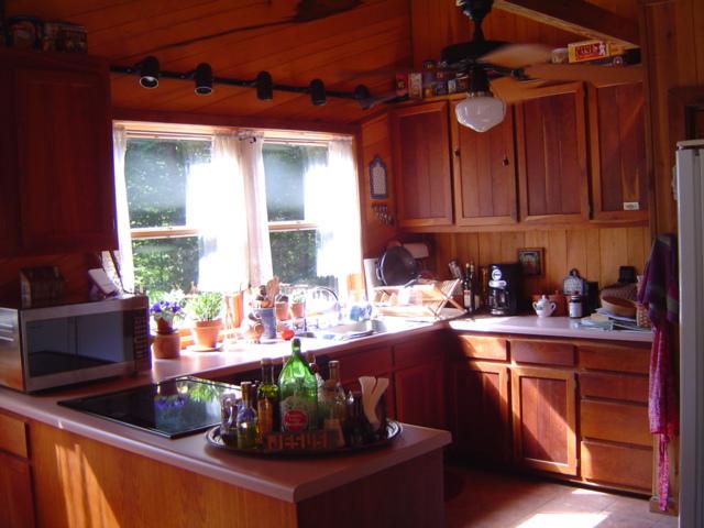 875 Menefee Road Ferrum, VA 24088 - Photo 4 of 8 Kitchen
