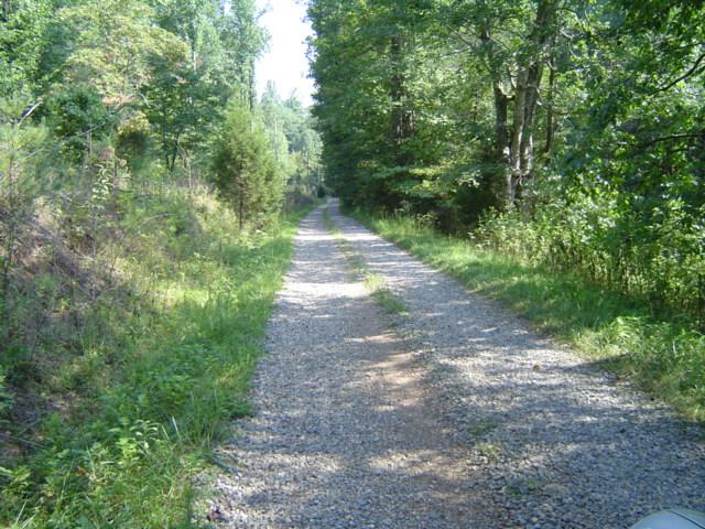 875 Menefee Road Ferrum, VA 24088 - Photo 7 of 8 Driveway into Property
