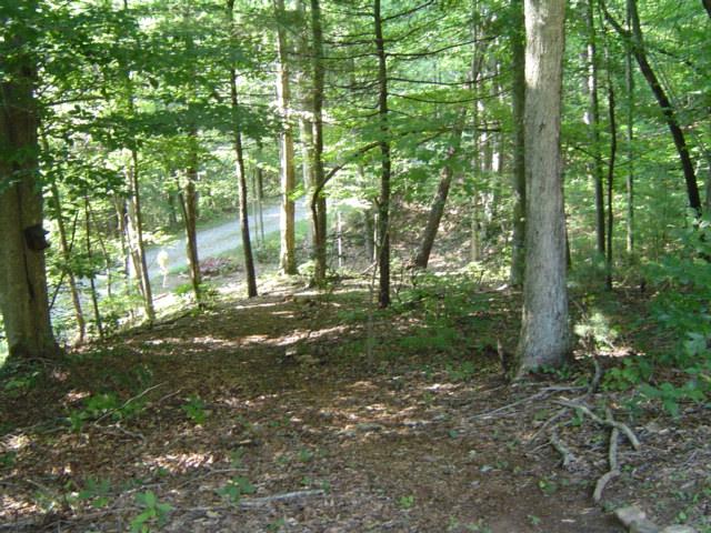 875 Menefee Road Ferrum, VA 24088 - Photo 8 of 8 Part of 50 Wooded Acres