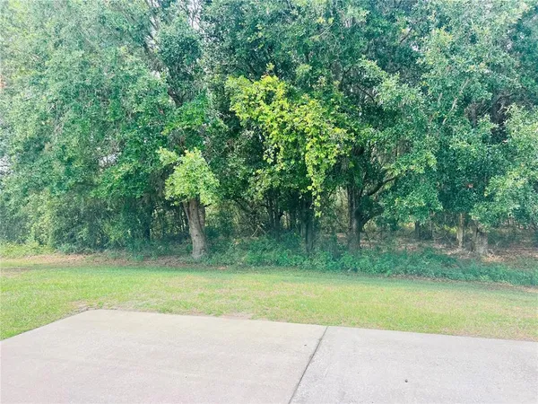 a view of a yard