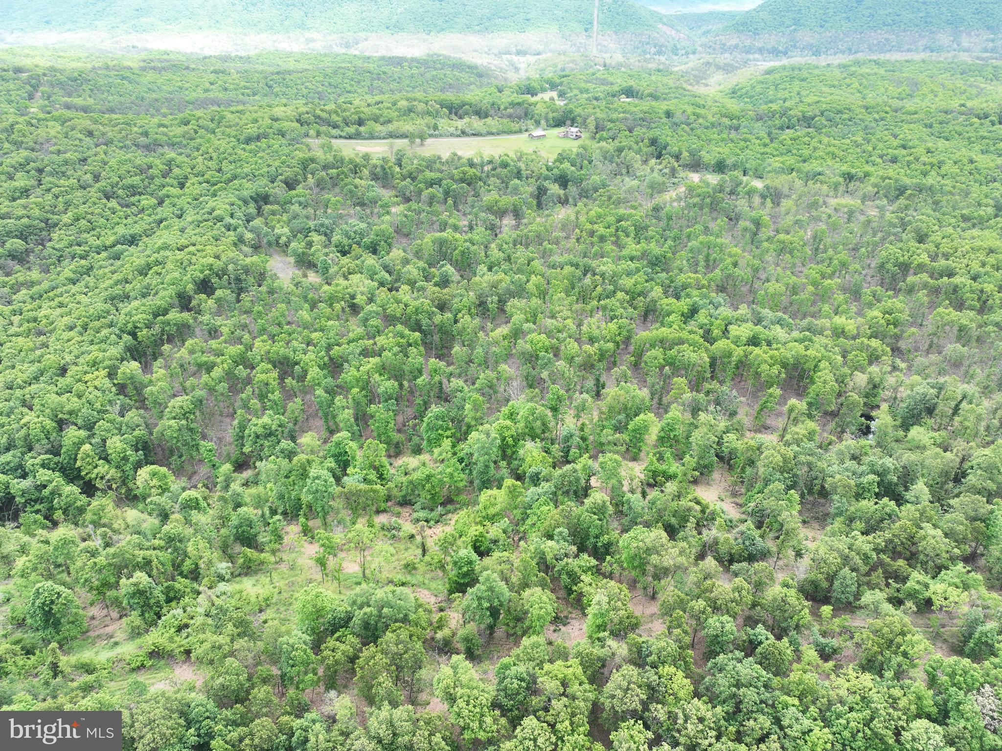 40.15-ac Middle Ridge Road Burlington, WV 26710 - Photo 41 of 47