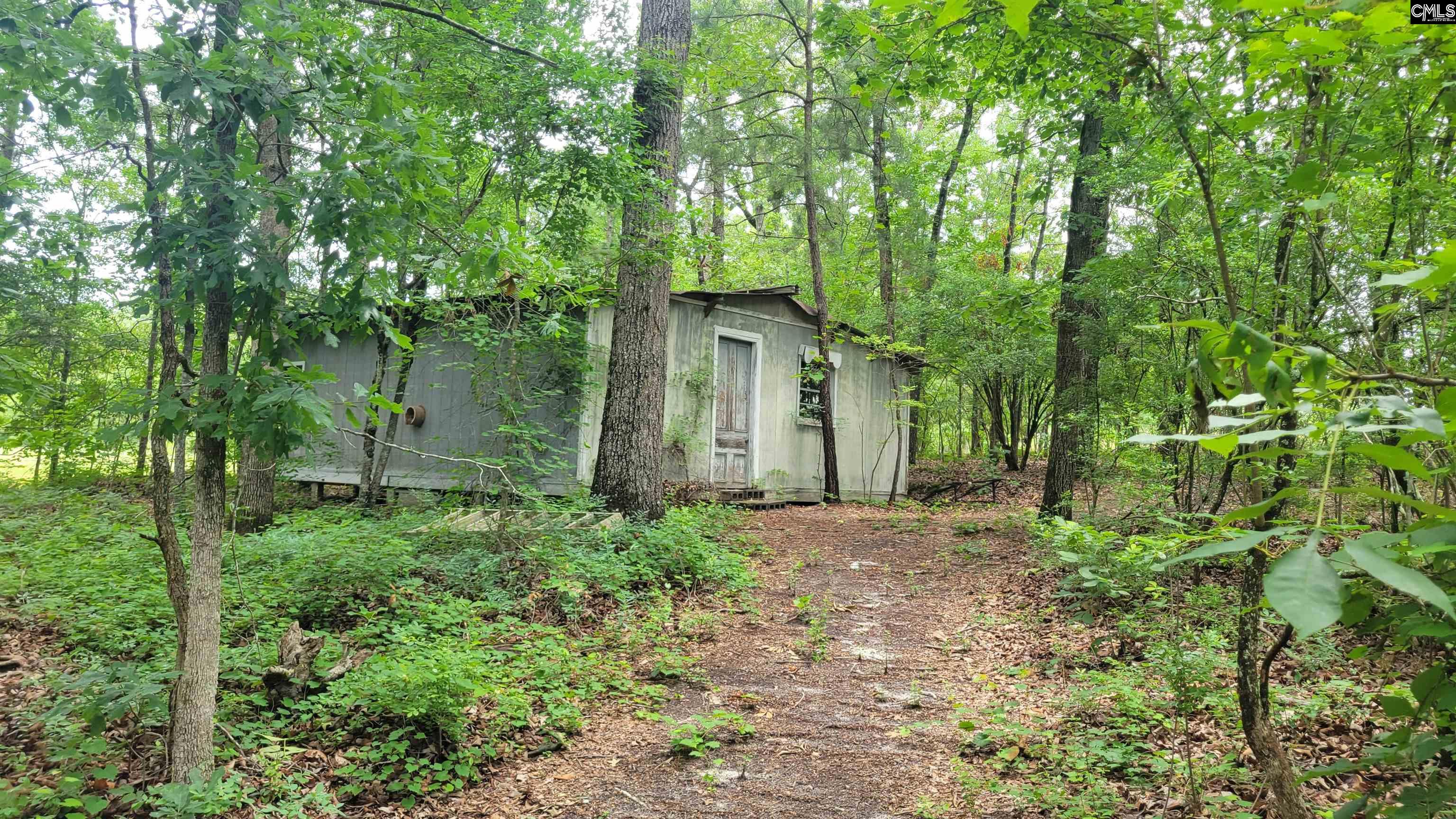 742 Elbert Taylor Road Gilbert, SC 29054 - Photo 26 of 66